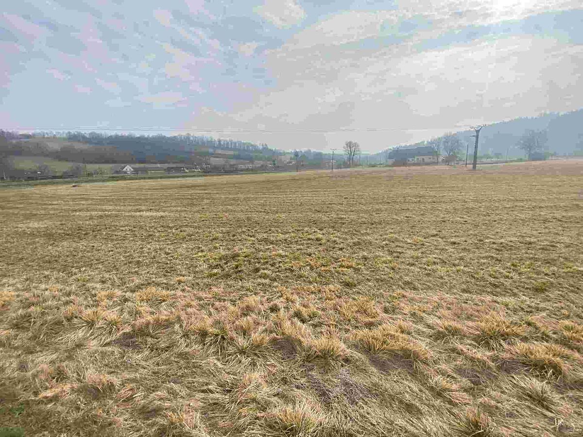 Prodej pozemku 15629 m² – fotografie 2