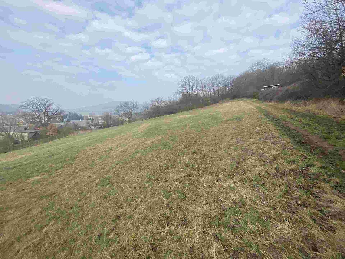 Prodej pozemku 7394 m²