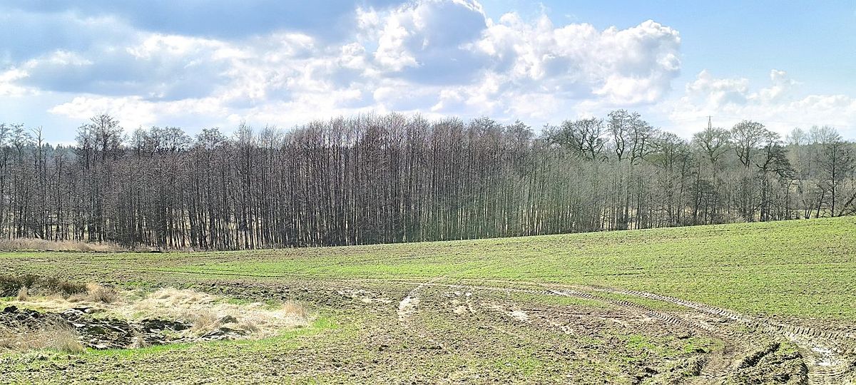 Prodej pozemku 11892 m² – fotografie 2