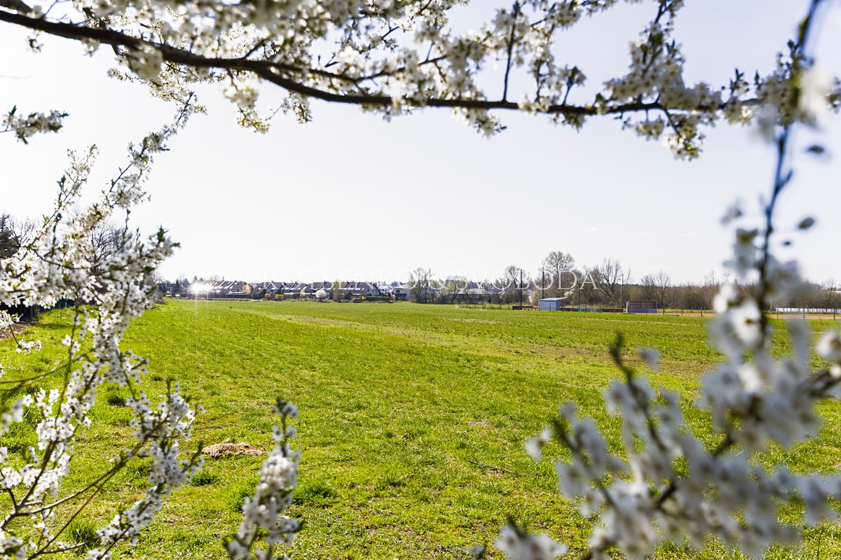 Prodej komerčního pozemku 11061 m²