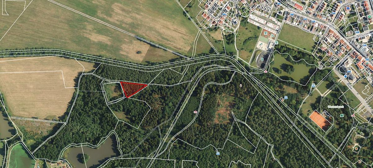 Prodej lesa 2956 m²