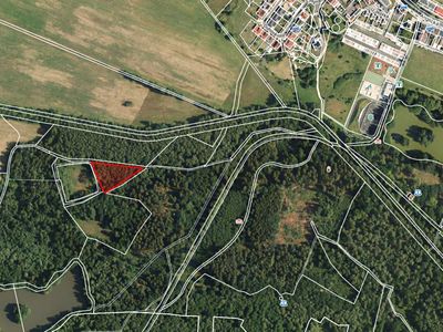 Prodej lesa 2956 m²