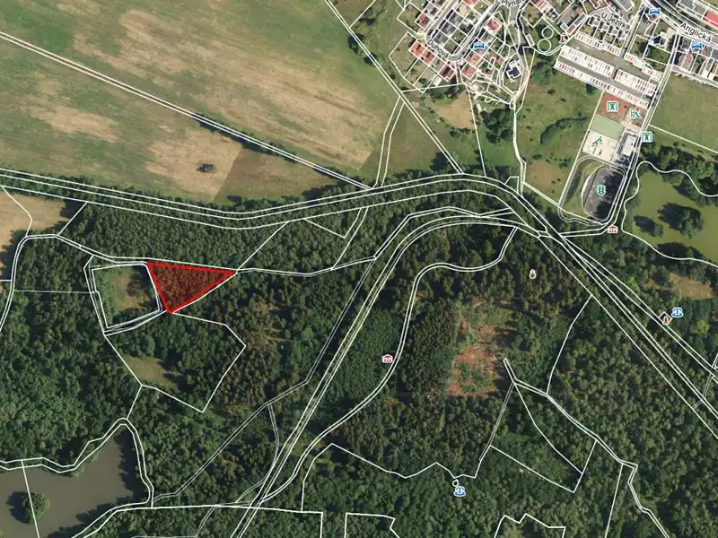 Prodej lesa 2956 m², Františkovy Lázně – náhled fotky 1