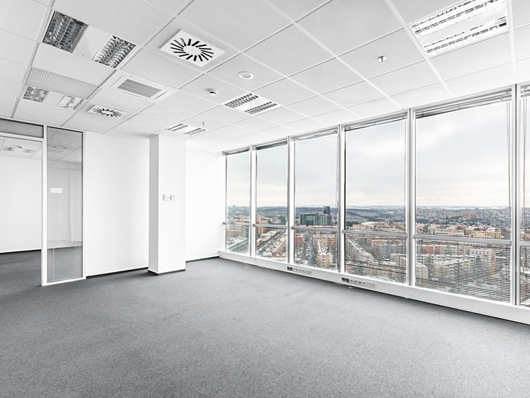 Pronájem komerčního prostoru, 554 m² (7 z 18)