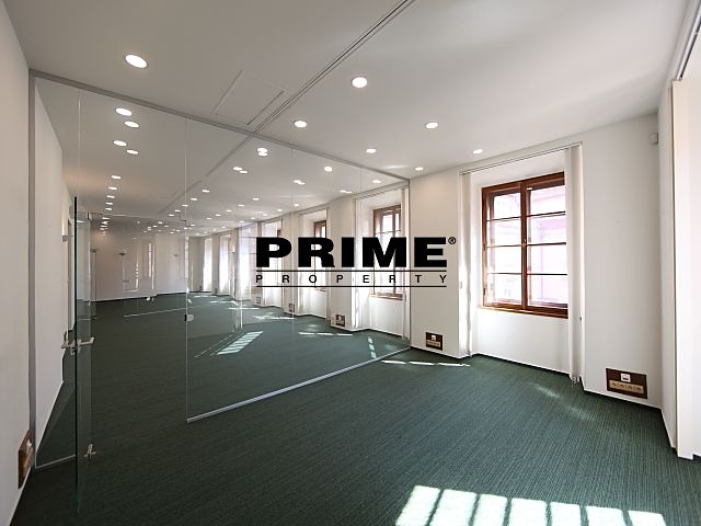 Pronájem komerčního prostoru, 167 m² (6 z 30)