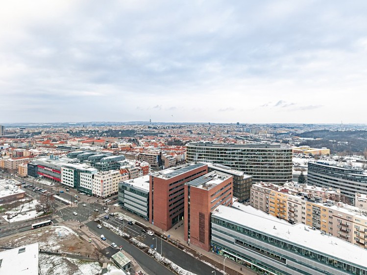 Pronájem komerčního prostoru, 554 m² (11 z 18)