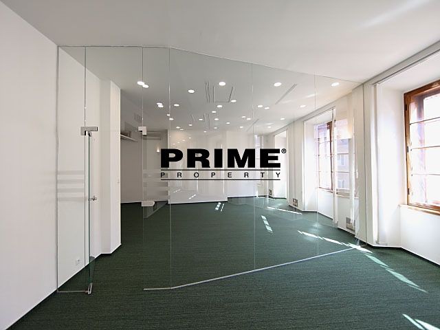 Pronájem komerčního prostoru, 167 m² (4 z 30)