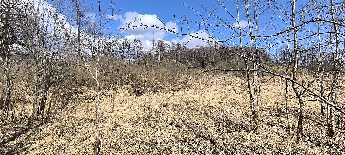 Prodej pole 7083 m² – fotografie 5