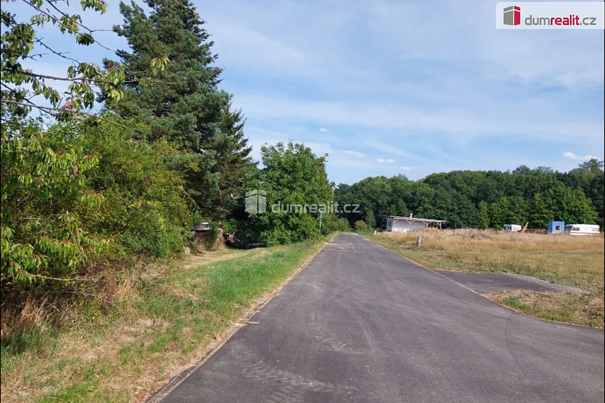 Fotka 8 z 19