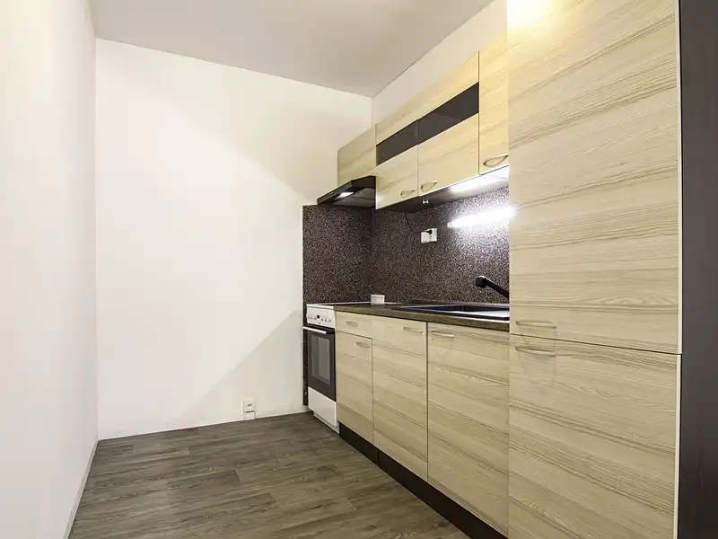 Pronájem bytu pokoje 91 m², Praha – náhled fotky 1