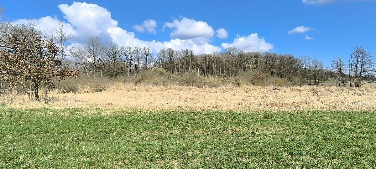 Prodej pole 7083 m² – fotografie 4