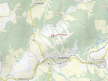 Dražba  lesa 420 m²