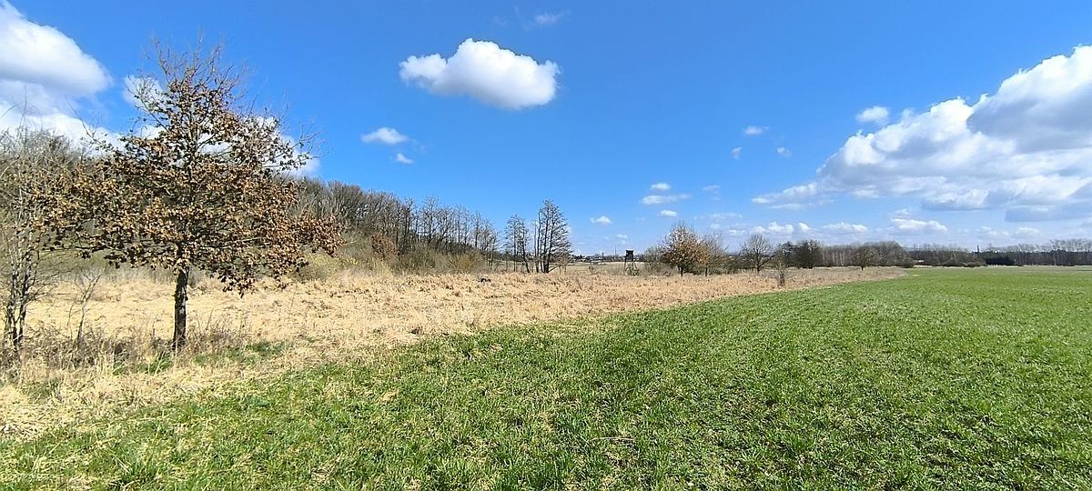 Prodej pole 7083 m² – fotografie 2