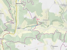 Dražba  lesa 1 687 m²