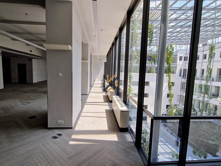 Pronájem komerčního prostoru, 434 m² (3 z 7)