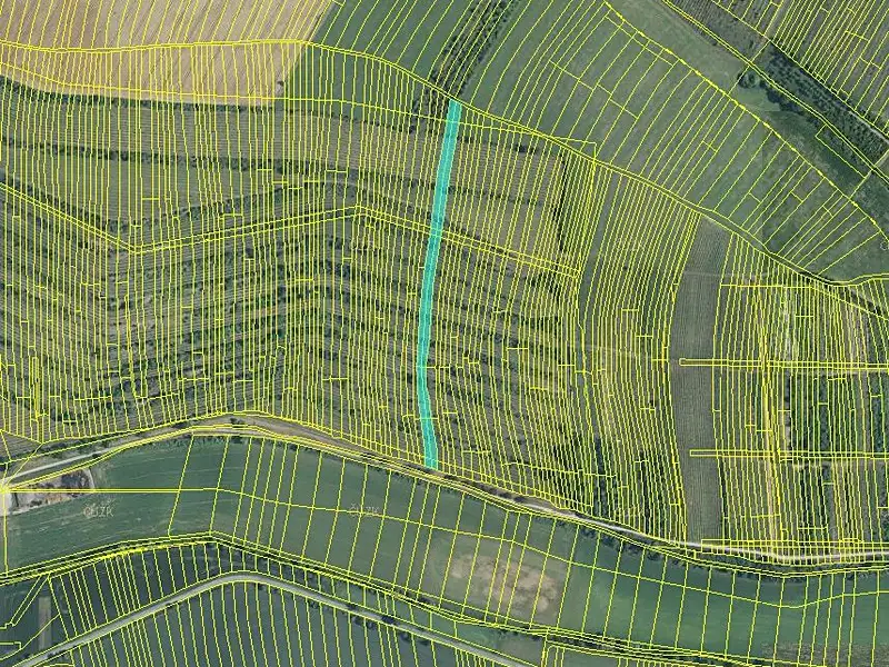Prodej pole 4651 m², Morkůvky – náhled fotky 3