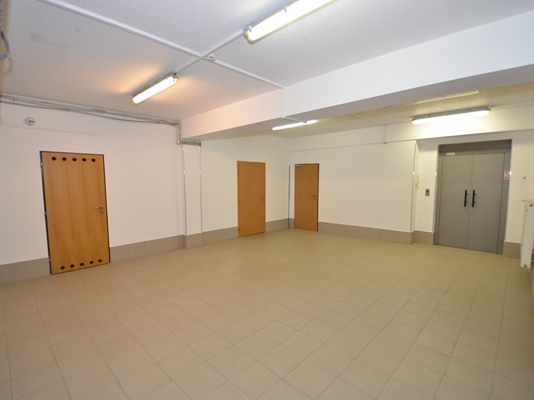 Immobilie zur Miete, 227 m² (9 von 10)