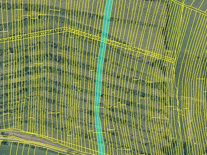 Prodej pole 4651 m², Morkůvky – náhled fotky 2