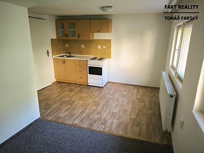 Pronájem bytu 1+kk 19 m²