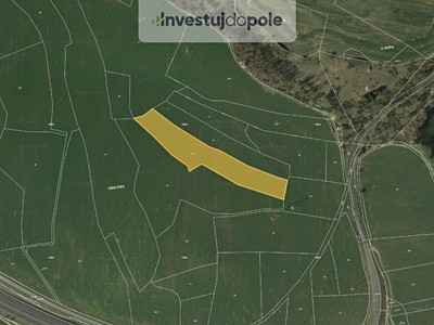 Prodej  pole 8 097 m²