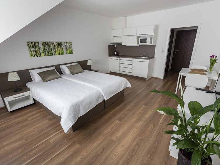 Pronájem bytu 1+kk, 29 m² (1 z 6)
