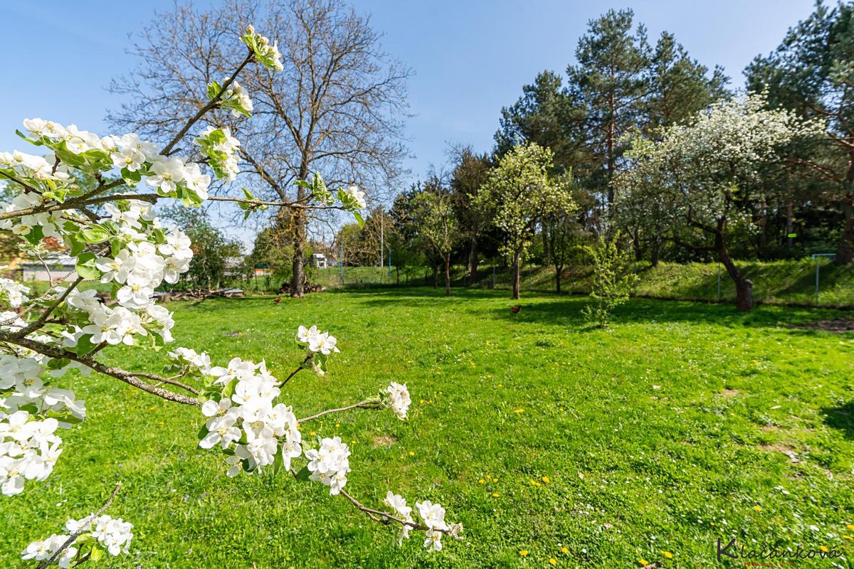 Prodej stavebního pozemku 1068 m² – fotografie 3