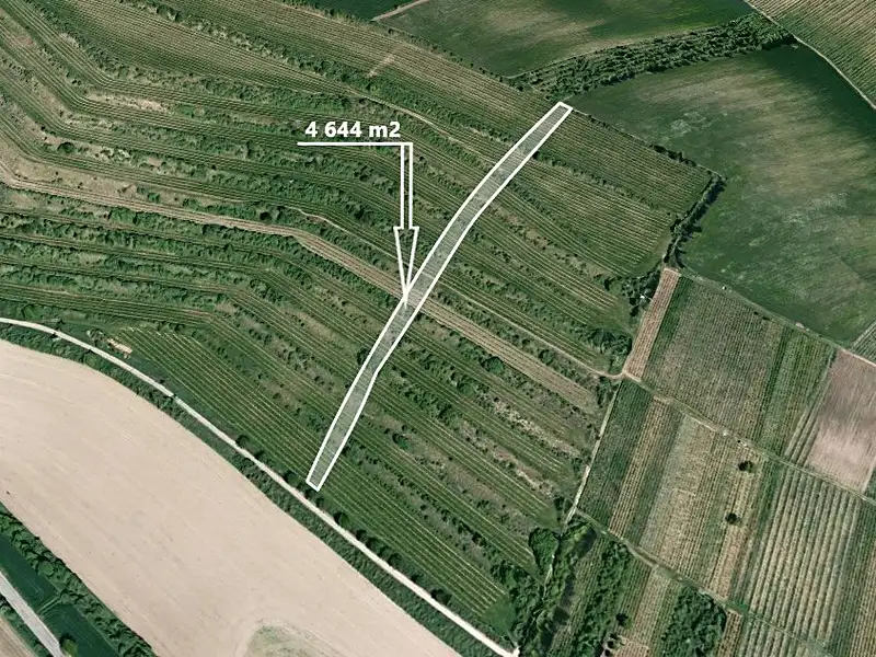 Prodej pole 4651 m², Morkůvky – náhled fotky 1