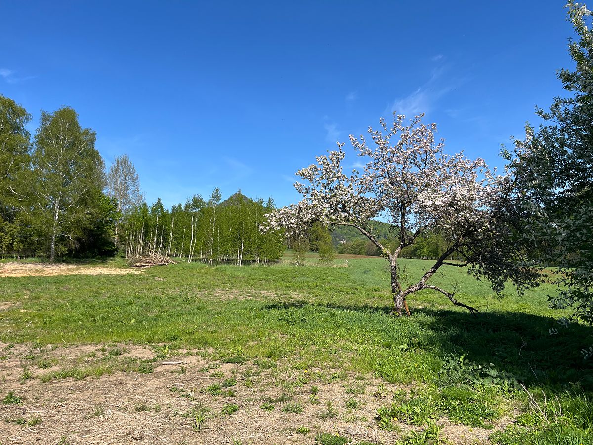 Prodej stavebního pozemku 1415 m² – fotografie 3
