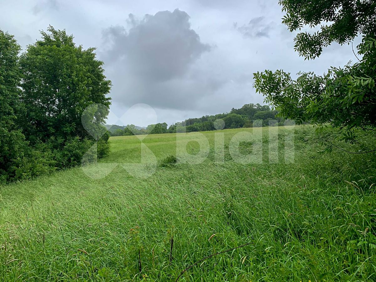 Prodej stavebního pozemku 1951 m² – fotografie 3