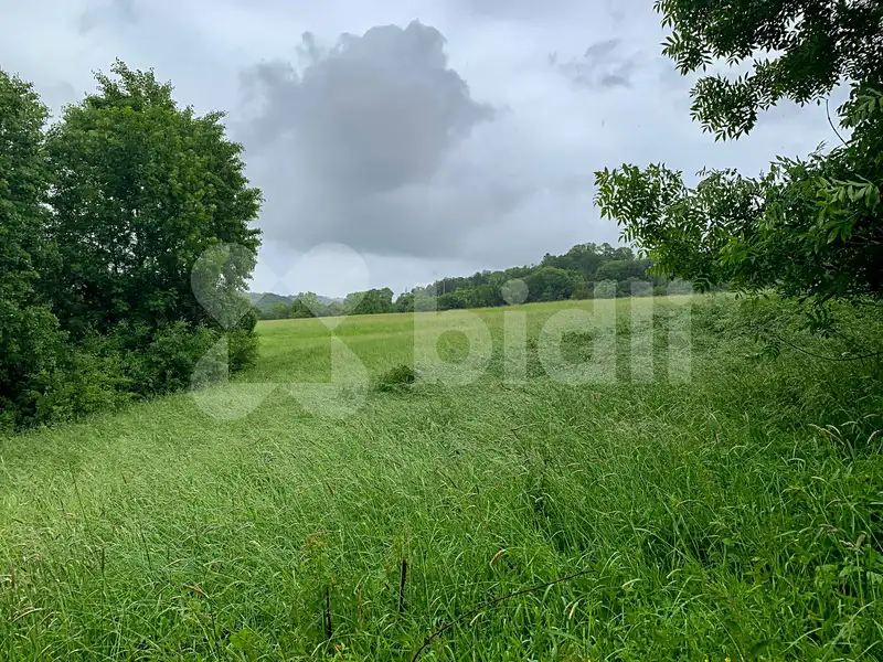 Prodej stavebního pozemku 1951 m², Heřmanov – náhled fotky 3