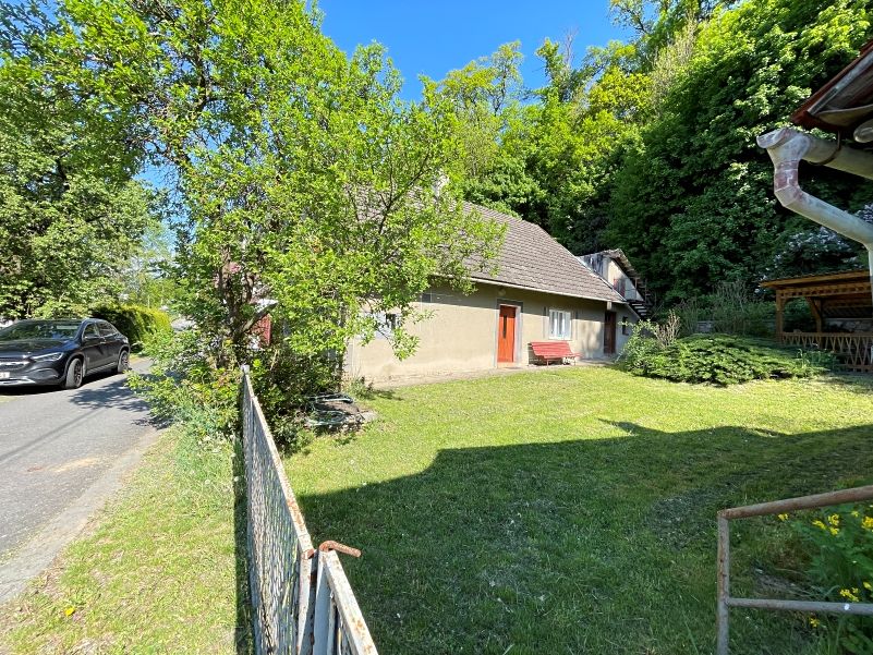 Prodej rodinného domu 340 m², pozemek 1423 m² – fotografie 4