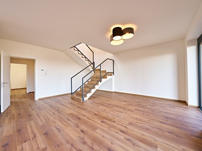 Pronájem domu, 180 m² (3 z 12)