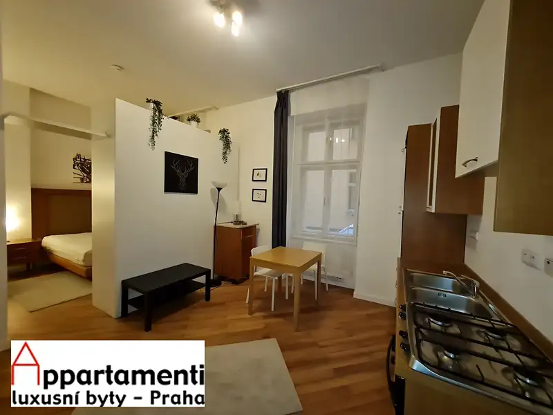 Prodej bytu 1+kk 35 m², Praha – náhled fotky 2