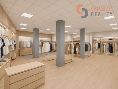 Pronájem komerčního prostoru, 506 m² (3 z 21)
