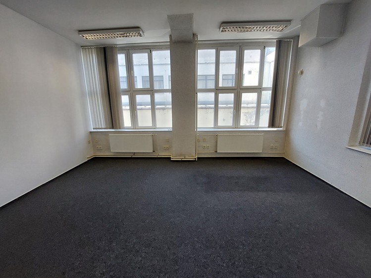 Pronájem komerčního prostoru, 127 m² (3 z 8)
