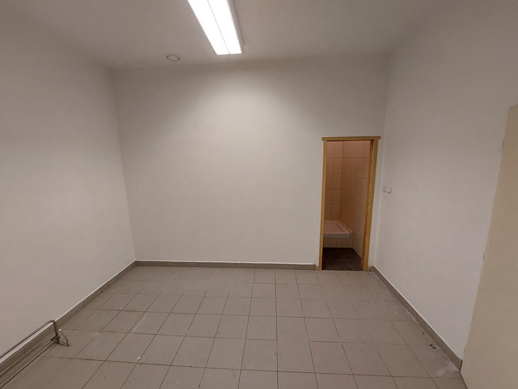 Pronájem komerčního prostoru, 127 m² (6 z 8)