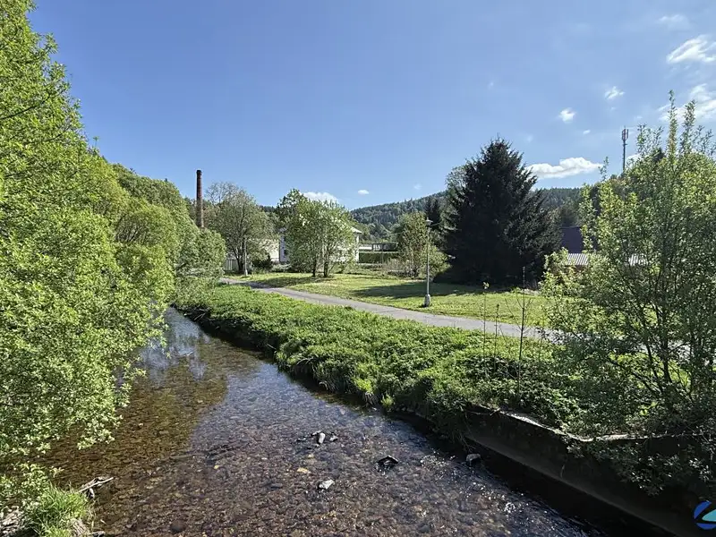 Prodej stavebního pozemku 1527 m², Těchonín – náhled fotky 3