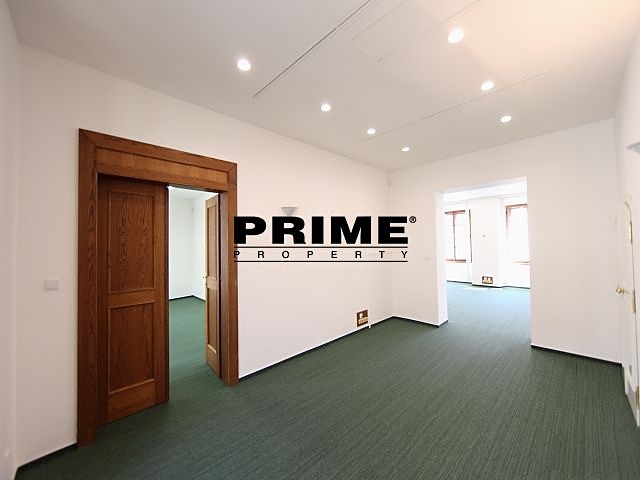 Pronájem komerčního prostoru, 167 m² (14 z 30)