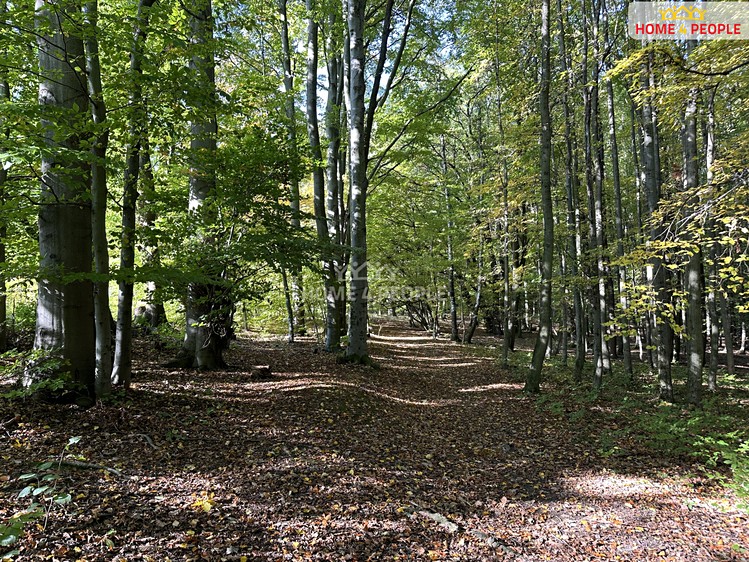 Prodej pozemku, 1 244 m² (14 z 19)