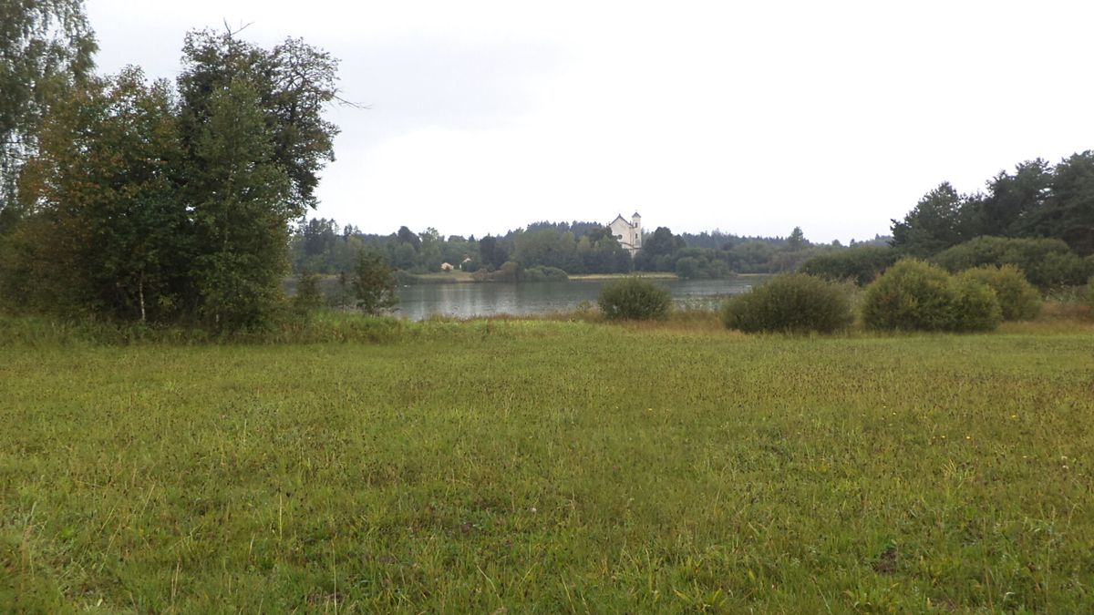 Prodej pozemku 2593 m², Nová Bystřice – fotka 1 z 3