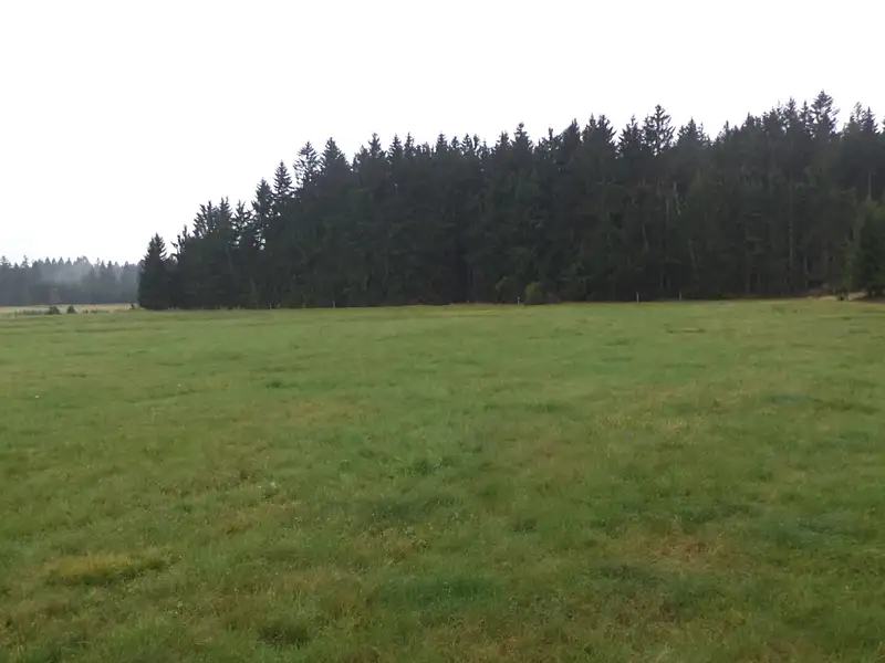 Prodej pozemku 2593 m², Nová Bystřice – náhled fotky 3
