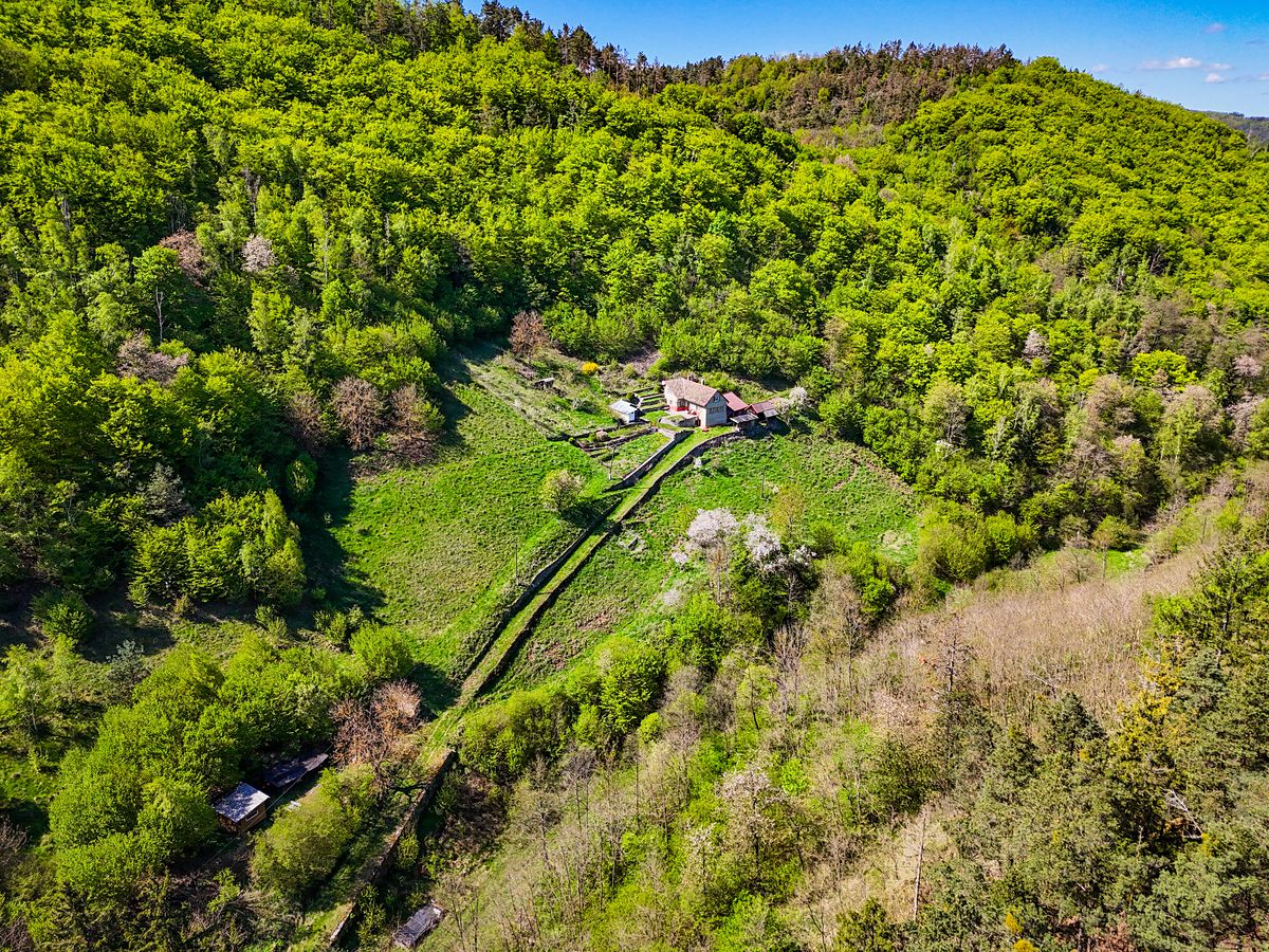 Prodej rodinného domu 120 m², pozemek 54900 m² – fotografie 2
