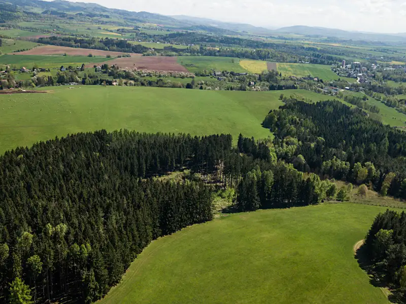 Prodej lesa 20336 m², Heřmánkovice – náhled fotky 1