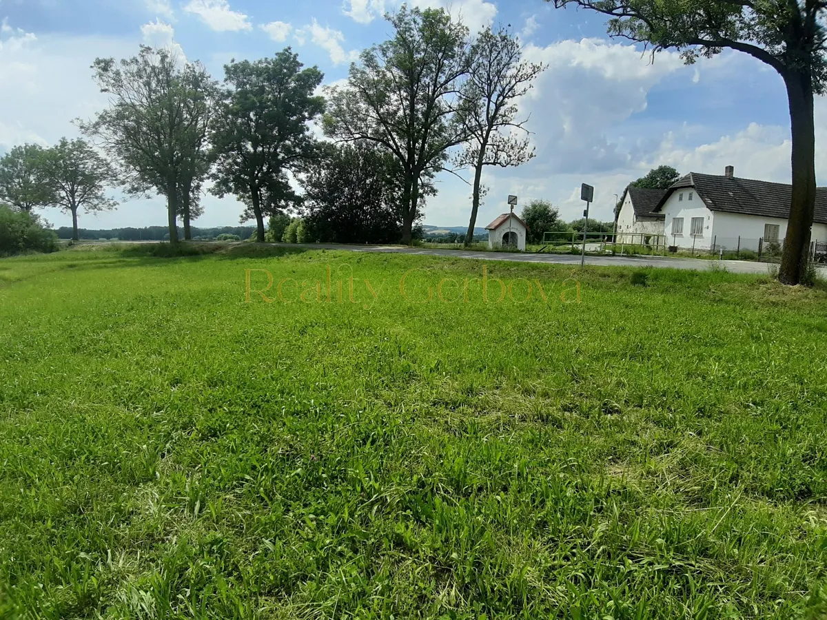 Fotka 10 z 14