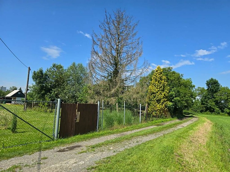 Grundstück zum Kauf, 5.238 m² (4 von 7)