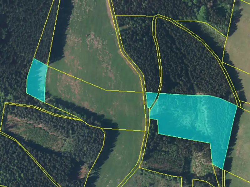 Prodej lesa 20336 m², Heřmánkovice – náhled fotky 2