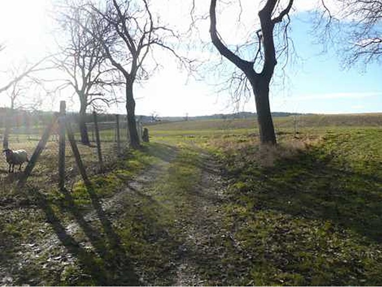Grundstück zum Kauf, 136 m² (5 von 7)