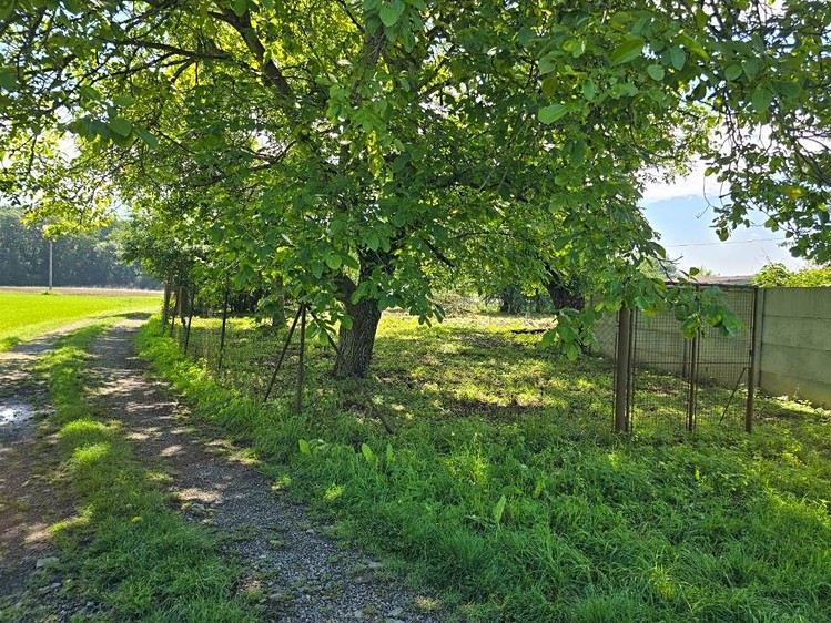 Grundstück zum Kauf, 5.238 m² (5 von 7)