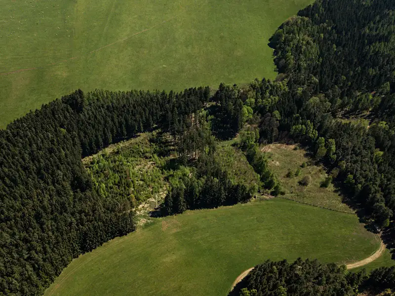 Prodej lesa 20336 m², Heřmánkovice – náhled fotky 3