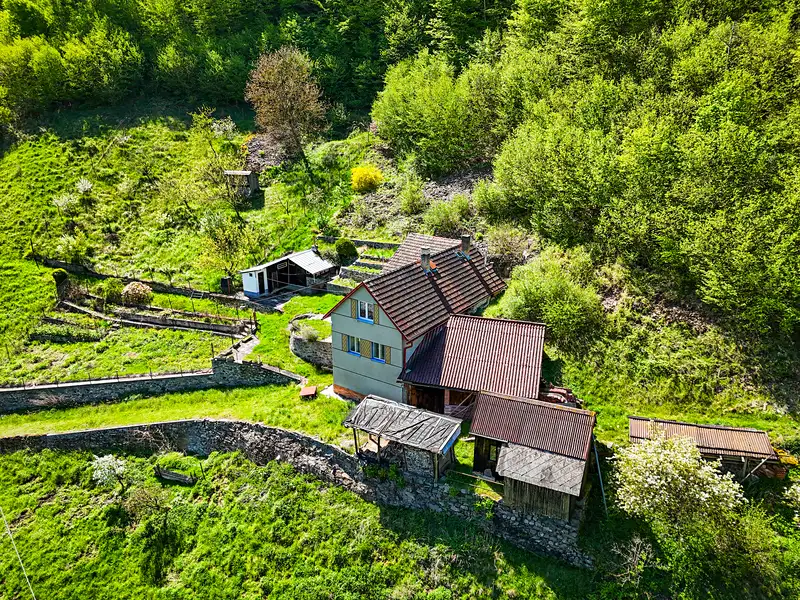 Prodej rodinného domu 120 m², pozemek 54900 m², Milešov – náhled fotky 1
